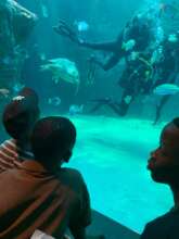 Beneficiaries at the Cape Town Aquarium