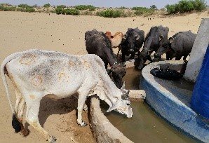 Solar Water Pumps for 2 Villages in Tharparkar