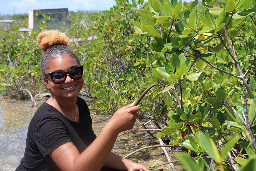 Photo: Perry Institute