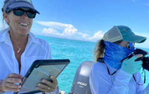 From Bahamas Marine Mammal Research Organization