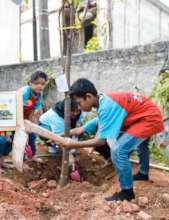 The Primary students are planting the fruit trees
