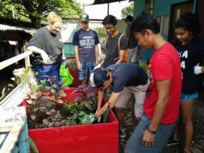 Student Volunteers Help in the Gardens