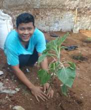 Febry planted herb plant at the herb garden site