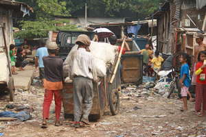 Trash Pickers Return Home