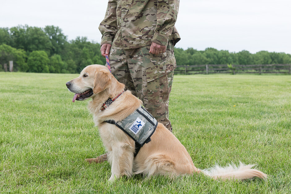 Last year 1,300 Veterans participated in MBTR