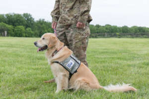 Last year 1,300 Veterans participated in MBTR