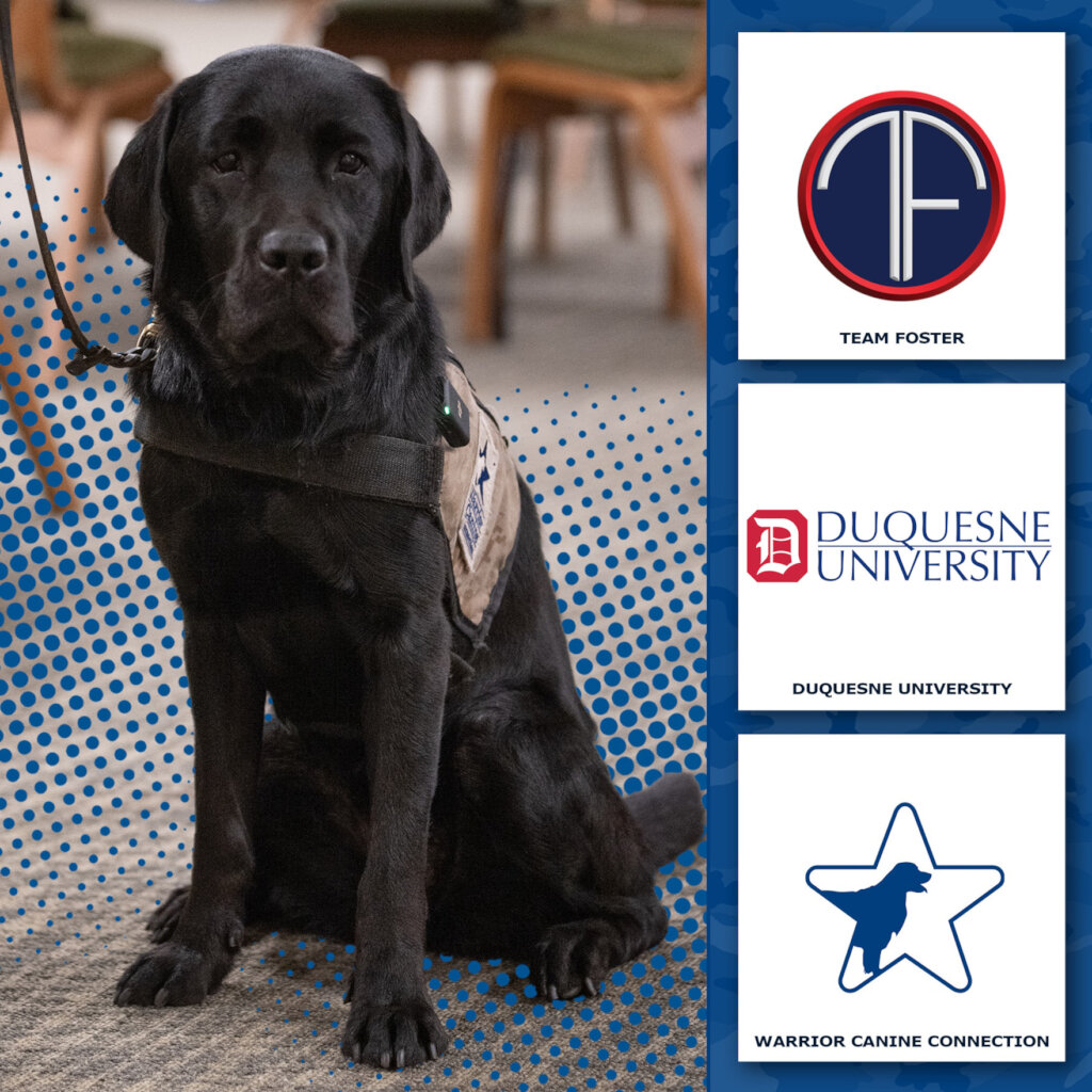 Support Mission Based Trauma Recovery for Vets