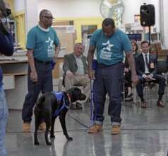 Veterans working with WCC's future service dogs