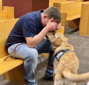 WCC Dogs are Trained to Interrupt Stress Cues