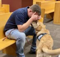 WCC Dogs are Trained to Interrupt Stress Cues