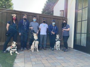 Waymo Team volunteering with WCC