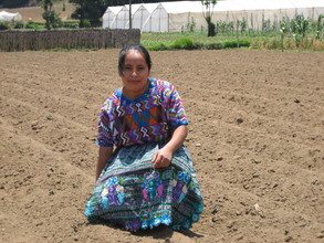 Catalina has readied her field for planting!