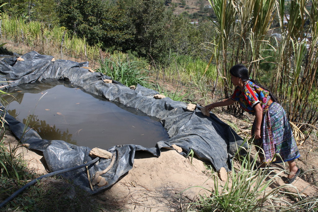 Drawing water for crops is not an easy task!