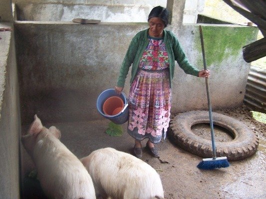 Microloans Help Guatemalan Women Reach Their Goals