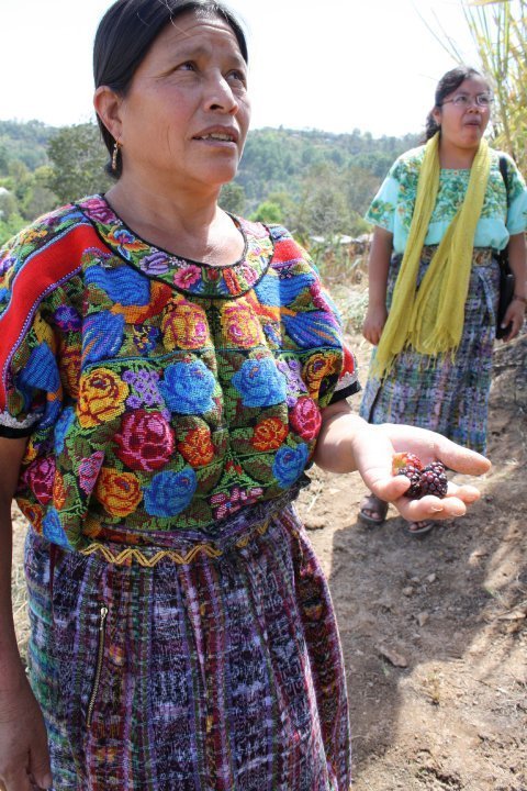 Microloans Help Guatemalan Women Reach Their Goals
