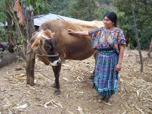 Microloans Help Guatemalan Women Reach Their Goals