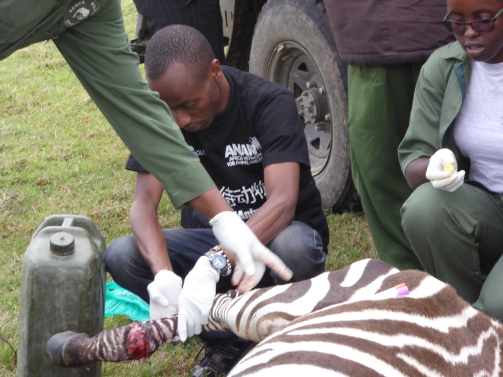 Protect Wildlife by Educating Poor Communities