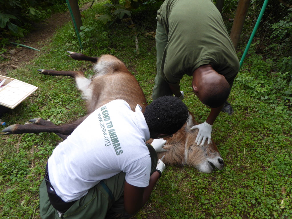 Protect Wildlife by Educating Poor Communities