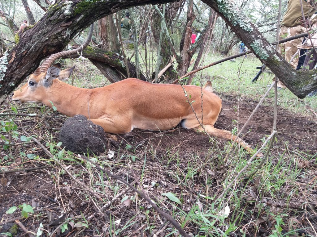 Protect Wildlife by Educating Poor Communities