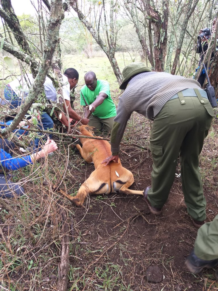 Protect Wildlife by Educating Poor Communities