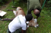 Protect Wildlife by Educating Poor Communities