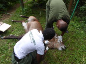 Protect Wildlife by Educating Poor Communities