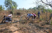 Planting of 15,000 trees in Northern Philippines