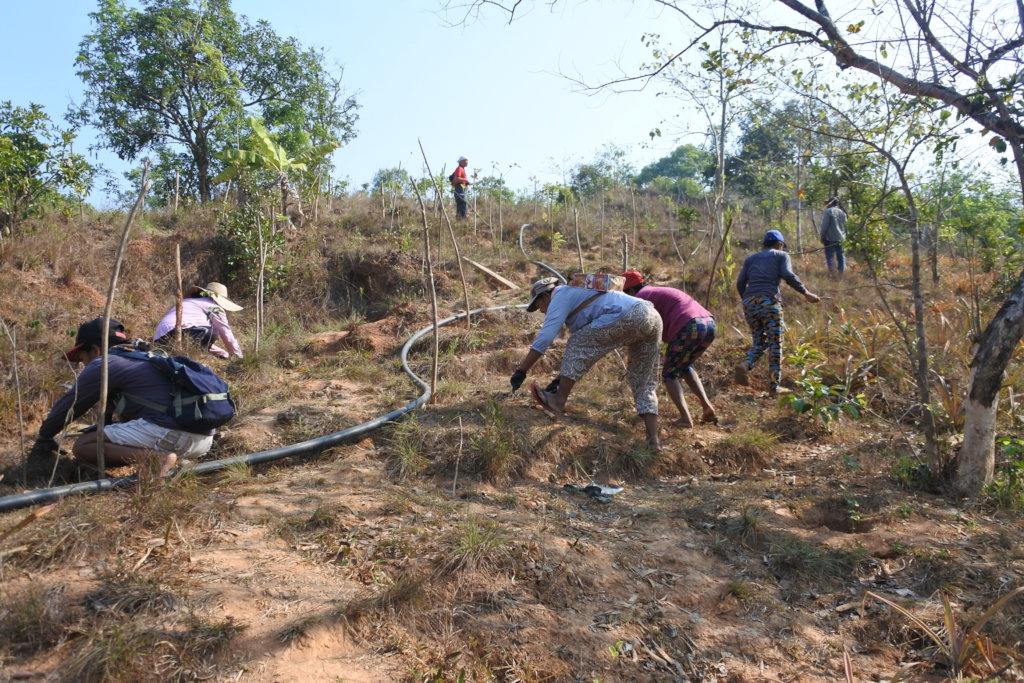 Planting of 15,000 trees in Northern Philippines