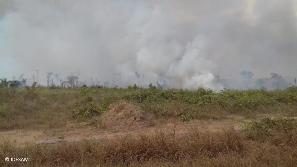 Help protect the Amazon forest - Emergency Fund