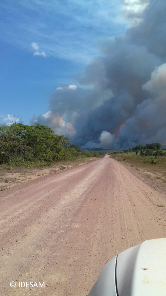 Help protect the Amazon forest - Emergency Fund