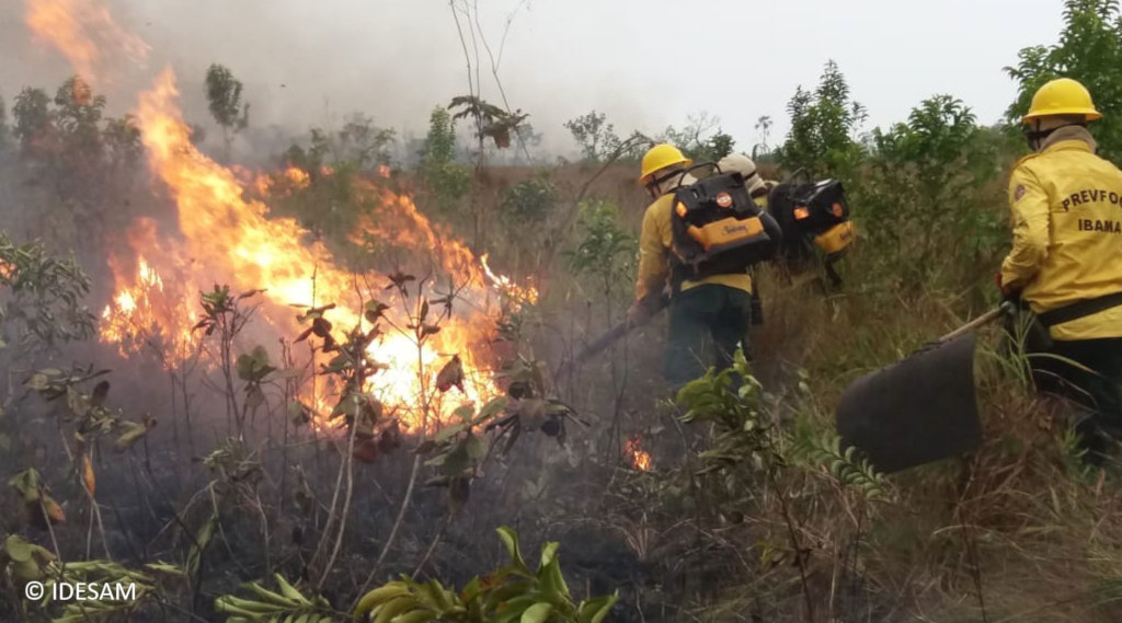 Help protect the Amazon forest - Emergency Fund