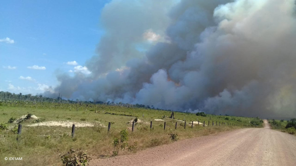 Help protect the Amazon forest - Emergency Fund