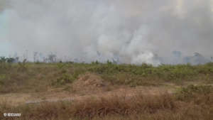 Recent fires in Apui