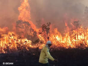 Help protect the Amazon forest - Emergency Fund