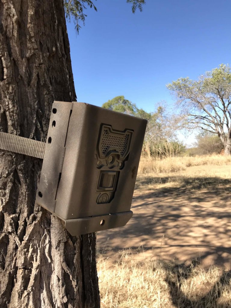 The Long Way Up - Nici's hike for Conservation