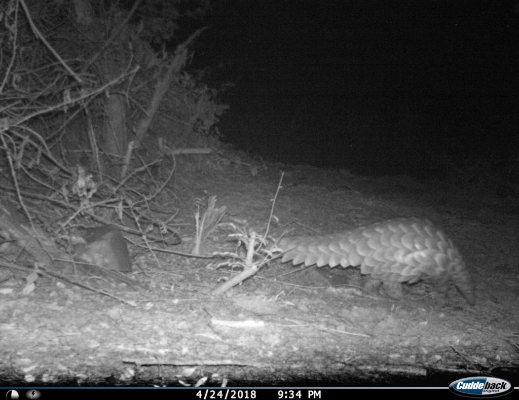 The Long Way Up - Nici's hike for Conservation