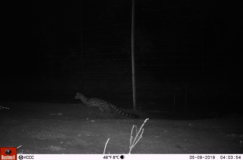 The Long Way Up - Nici's hike for Conservation