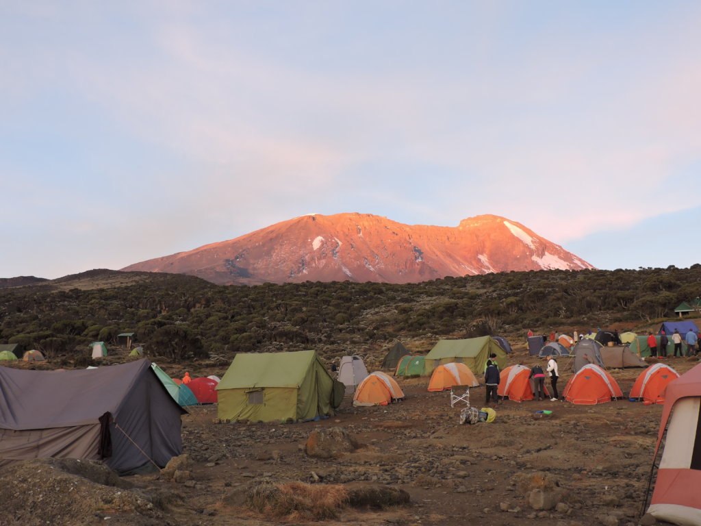 The Long Way Up - Nici's hike for Conservation