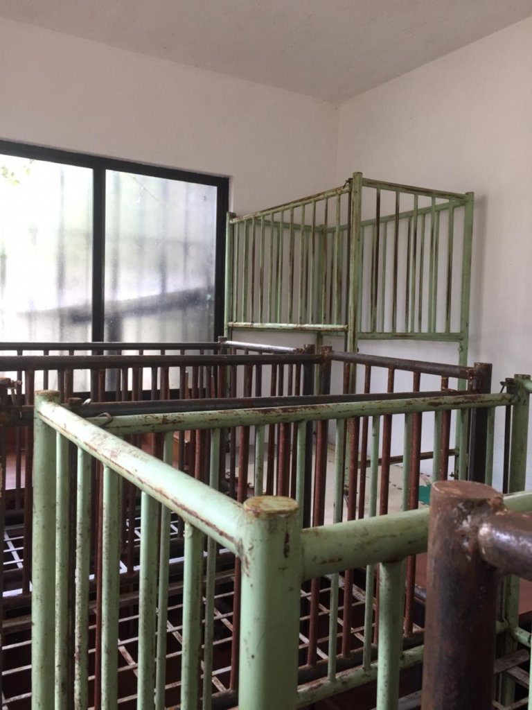 Paint and Repair 50 cribs