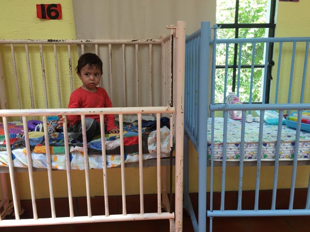 Paint and Repair 50 cribs