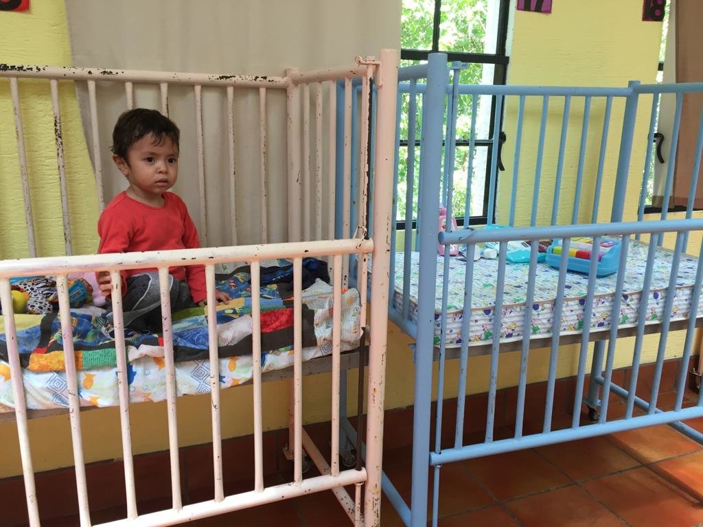 Paint and Repair 50 cribs