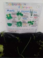 home grown food