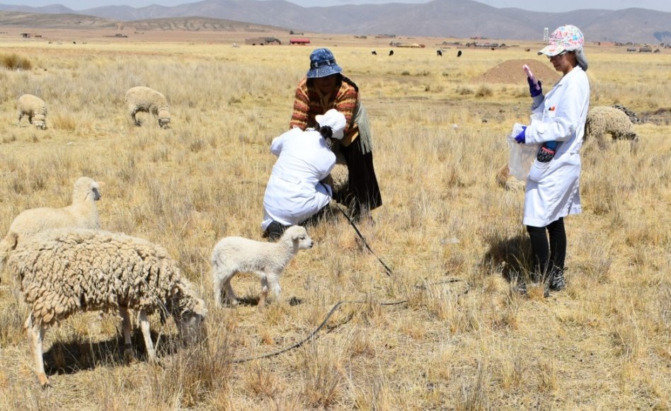 Veterinary Training for One Girl in Bolivia