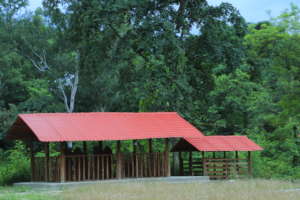 Tharu Devithan