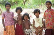 Free 100 tribe familys hunger and tragedy in India
