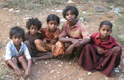 Free 100 tribe familys hunger and tragedy in India