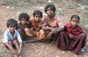 Free 100 tribe familys hunger and tragedy in India