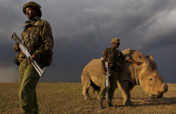 The Armed Rangers of Ol Pejeta