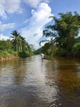 Protected Riverine forest 4.5 Acres