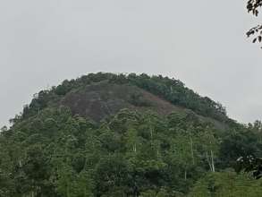 Priority Conservation Site for 2021